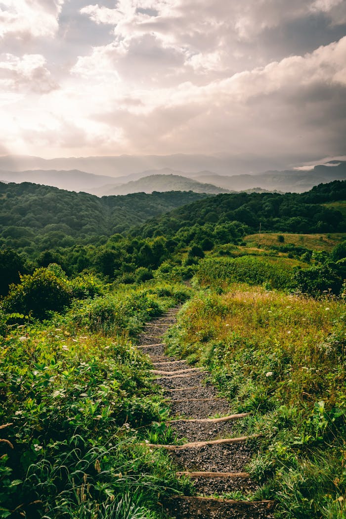 Discover tranquility on a winding path through a verdant mountain landscape, perfect for hiking and exploring.