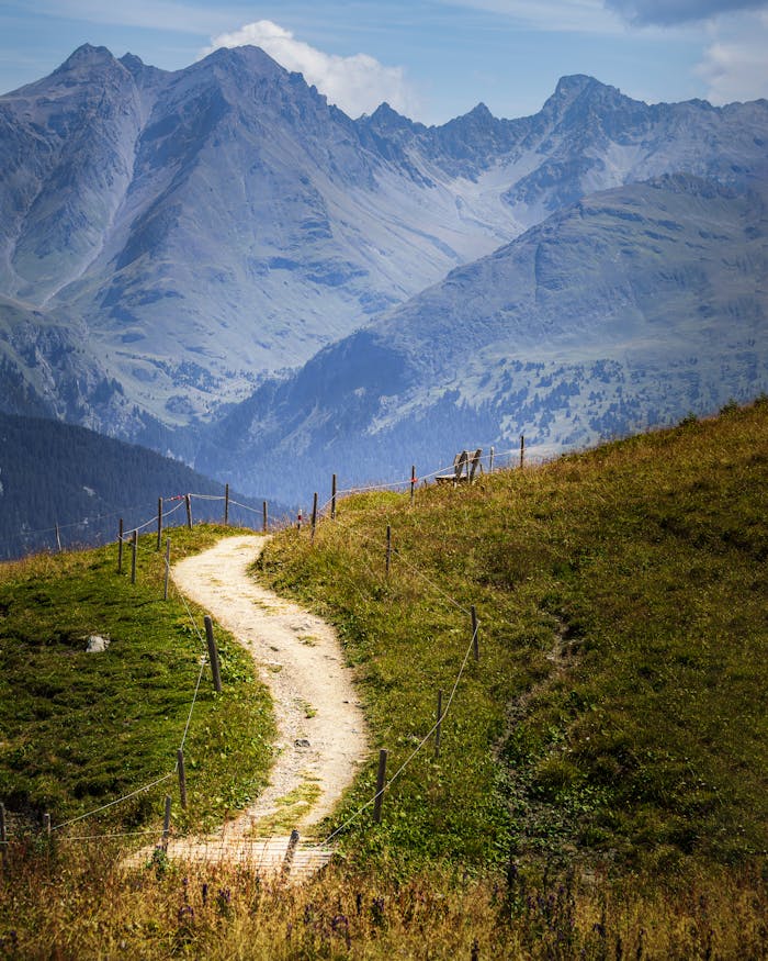A serene mountain path leading through the Alps in Graubünden, Switzerland, under a clear blue sky.