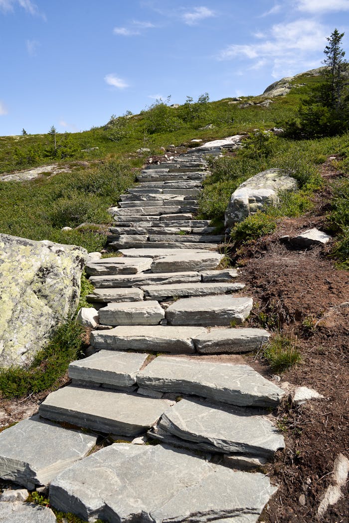 Stone steps leading through a lush mountain landscape under a clear blue sky.